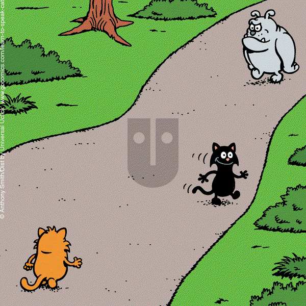 Learn to Speak Cat on Tuesday April 29, 2025 Comic Strip