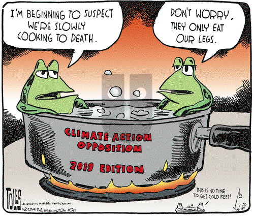 Tom Toles on Wednesday January 2, 2019 Comic Strip