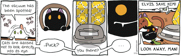 Breaking Cat News on Thursday July 13, 2017 Comic Strip