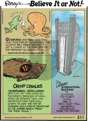 Ripley's Believe It or Not on Thursday February 11, 2021 Comic Strip