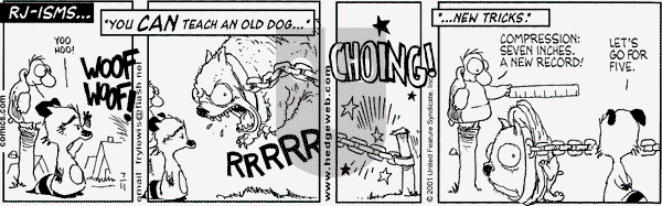 Over the Hedge on Wednesday July 11, 2001 Comic Strip