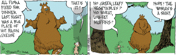 The Grizzwells on Wednesday April 29, 2009 Comic Strip