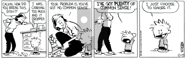 Calvin and Hobbes on Saturday September 4, 1993 Comic Strip
