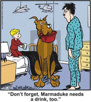 Marmaduke on Thursday April 14, 2022 Comic Strip