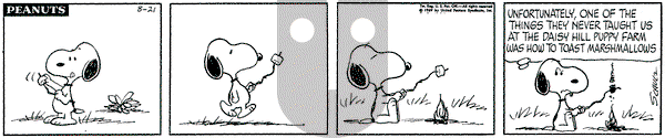 Peanuts on Thursday August 21, 1969 Comic Strip