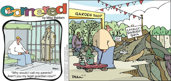 Cornered on Sunday June 13, 2021 Comic Strip