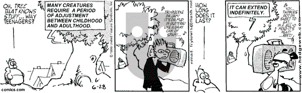 Over the Hedge on Monday June 28, 1999 Comic Strip