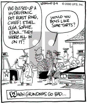 Reality Check on Wednesday August 9, 2000 Comic Strip