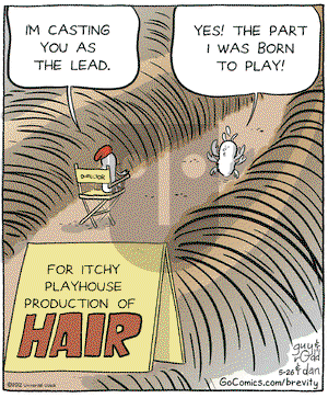 Brevity - Saturday May 26, 2012 Comic Strip