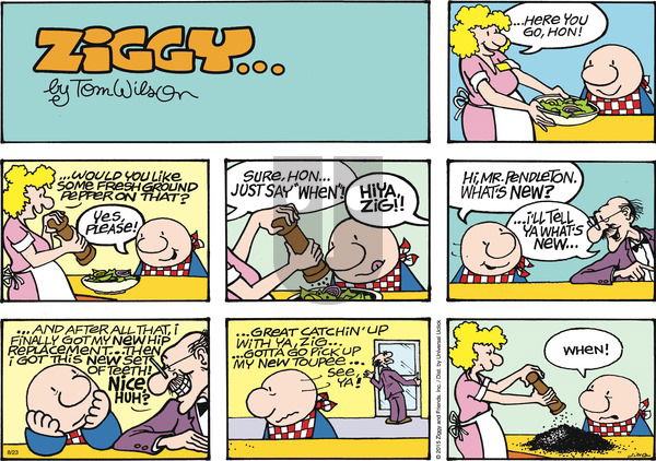 Ziggy on Sunday August 23, 2015 Comic Strip