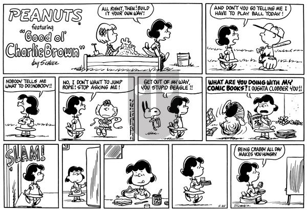 Peanuts on Sunday May 25, 1969 Comic Strip