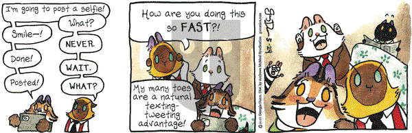 Breaking Cat News on Friday May 24, 2019 Comic Strip