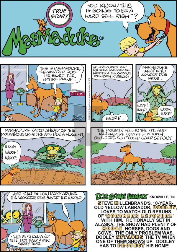 Marmaduke on Sunday June 1, 2025 Comic Strip