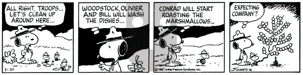 Peanuts on Tuesday July 20, 1982 Comic Strip