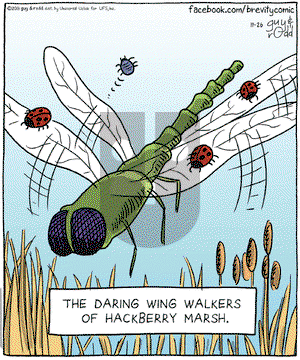 Brevity on Saturday November 26, 2011 Comic Strip