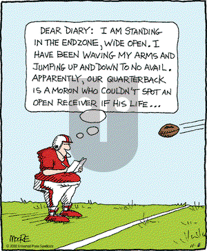 In the Bleachers on Friday November 8, 2002 Comic Strip