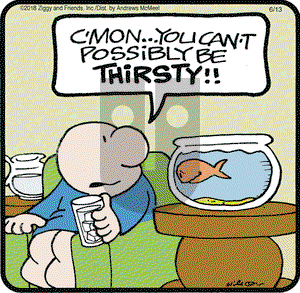 Ziggy on Wednesday June 13, 2018 Comic Strip