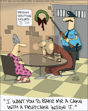 The Flying McCoys on Saturday December 8, 2012 Comic Strip