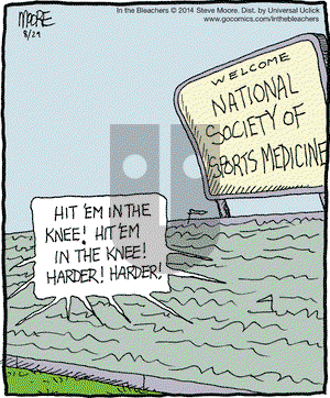 In the Bleachers on Friday August 29, 2014 Comic Strip