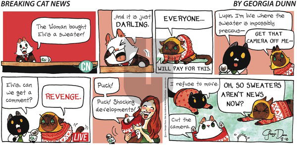 Breaking Cat News on Sunday February 10, 2019 Comic Strip