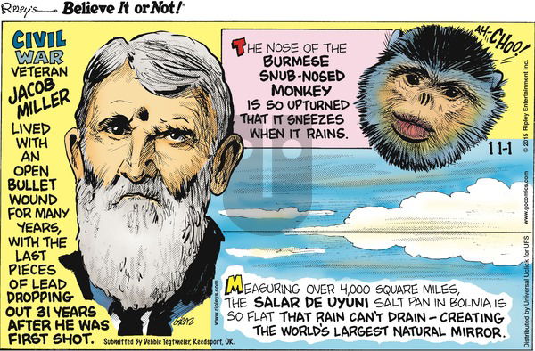 Ripley's Believe It or Not on Sunday November 1, 2015 Comic Strip