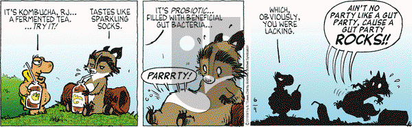 Over the Hedge on Monday June 4, 2018 Comic Strip