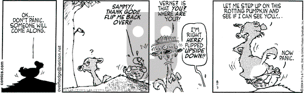 Over the Hedge on Tuesday August 3, 2004 Comic Strip