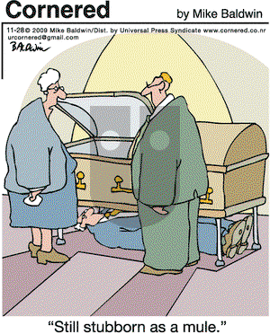 Cornered on Saturday November 28, 2009 Comic Strip