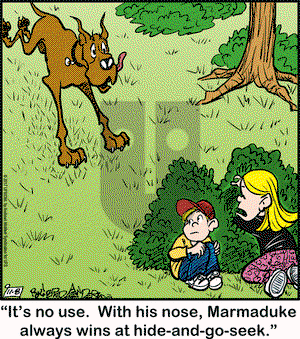 Marmaduke on Wednesday November 8, 2017 Comic Strip