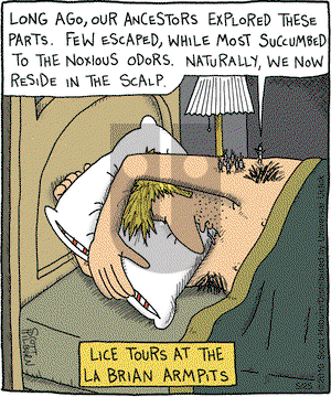 The Argyle Sweater on Tuesday May 25, 2010 Comic Strip