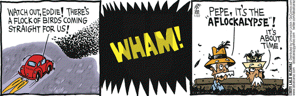 La Cucaracha on Sunday May 29, 2011 Comic Strip