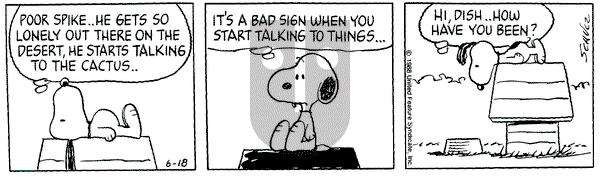Peanuts on Saturday June 18, 1988 Comic Strip