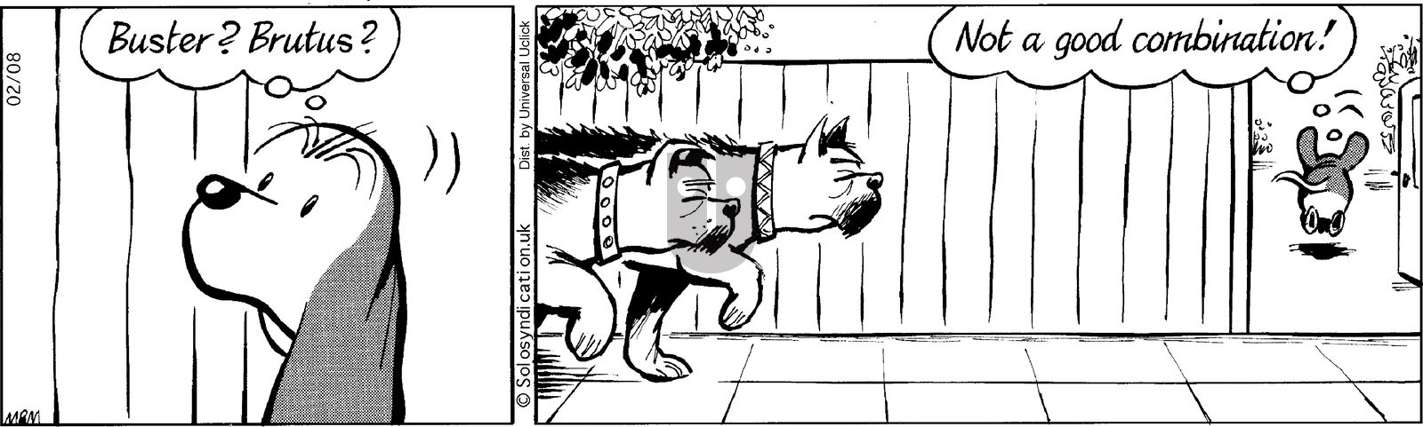 Fred Basset on Saturday February 8, 2014 Comic Strip