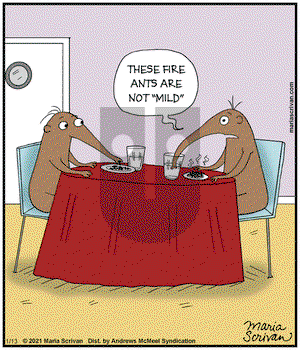 Half Full - Wednesday January 13, 2021 Comic Strip
