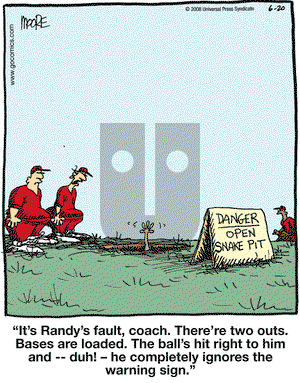 In the Bleachers on Friday June 20, 2008 Comic Strip