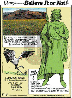 Ripley's Believe It or Not on Friday May 13, 2016 Comic Strip