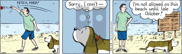 Fred Basset on Tuesday September 28, 2010 Comic Strip