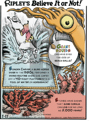 Ripley's Believe It or Not - Thursday February 22, 2024 Comic Strip