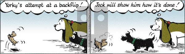Fred Basset - Thursday May 25, 2023 Comic Strip