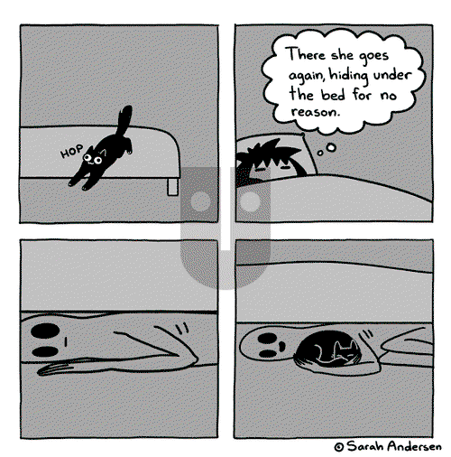 Sarah's Scribbles on Wednesday May 17, 2023 Comic Strip