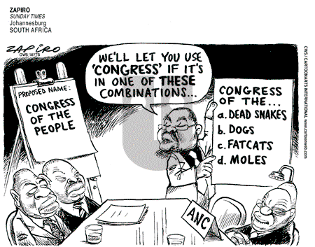 ViewsAfrica on Sunday November 23, 2008 Comic Strip