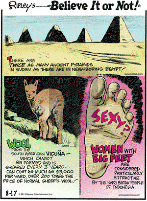 Ripley's Believe It or Not on Saturday August 17, 2013 Comic Strip