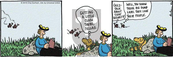 Overboard on Saturday June 11, 2016 Comic Strip