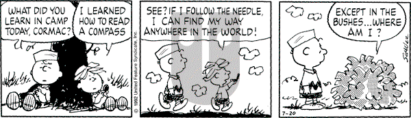 Peanuts - Monday July 20, 1992 Comic Strip