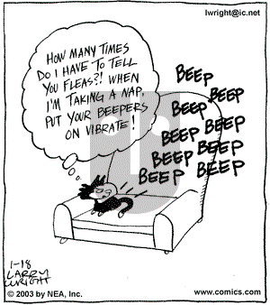 Kit 'N' Carlyle on Saturday January 18, 2003 Comic Strip