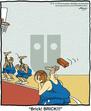 In the Bleachers - Wednesday February 19, 2025 Comic Strip