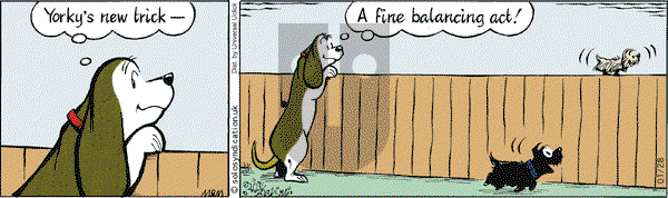Fred Basset - Tuesday January 28, 2014 Comic Strip