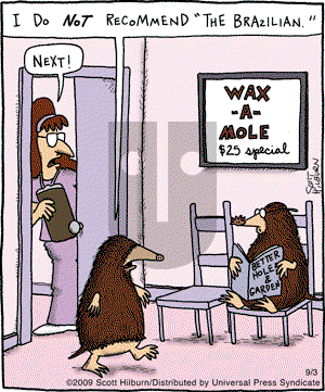 The Argyle Sweater on Thursday September 3, 2009 Comic Strip