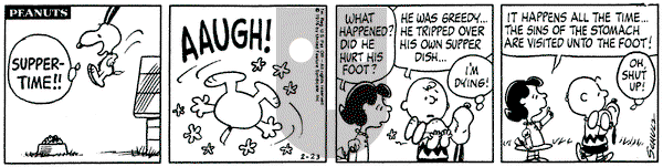 Peanuts on Monday December 21, 1992 Comic Strip