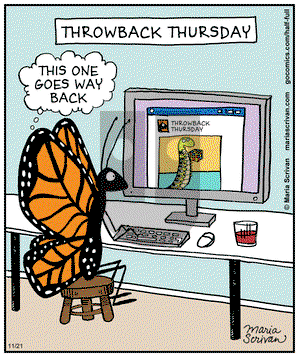 Half Full on Thursday November 21, 2013 Comic Strip